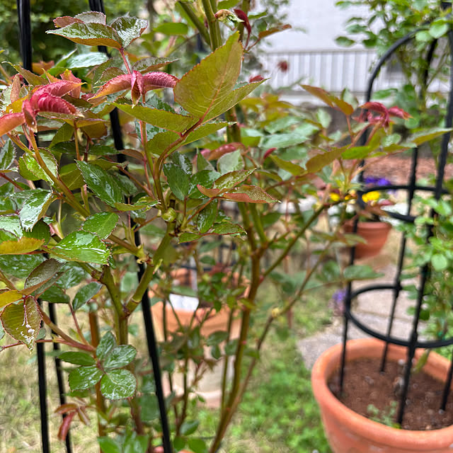 madeleineさんの部屋