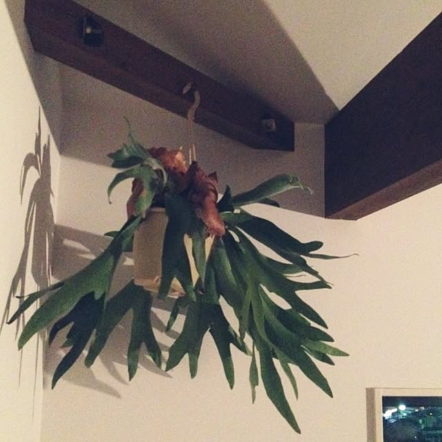 becteさんの実例写真