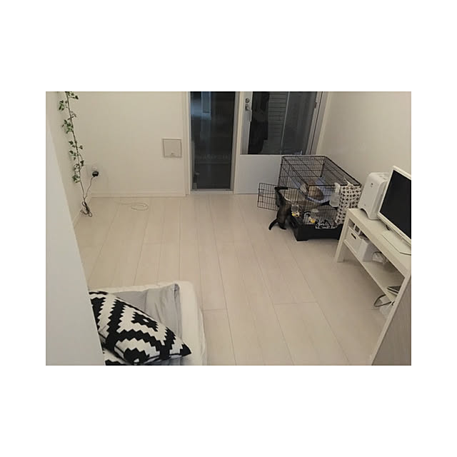 hnhncocoさんの実例写真