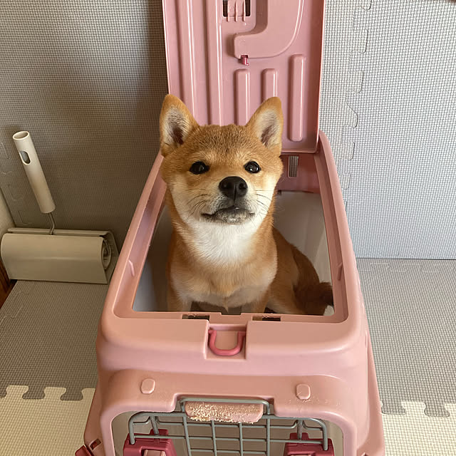 yumomitoさんの実例写真