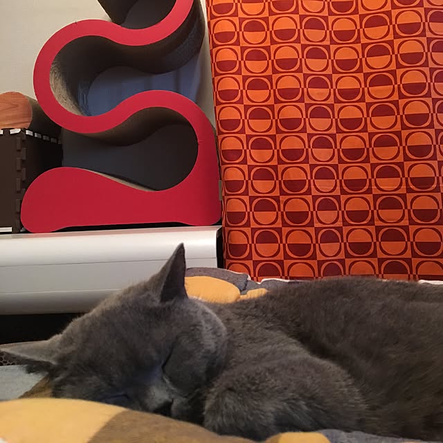 ikettenさんの実例写真