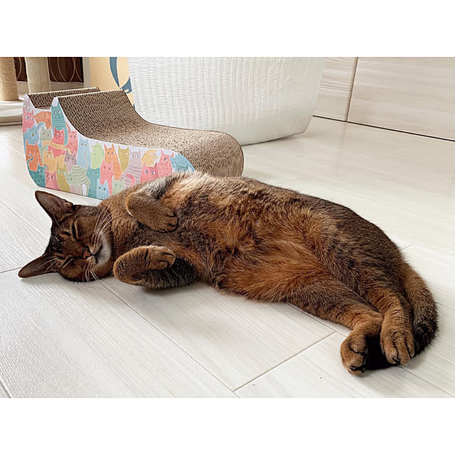 michunekoさんの実例写真