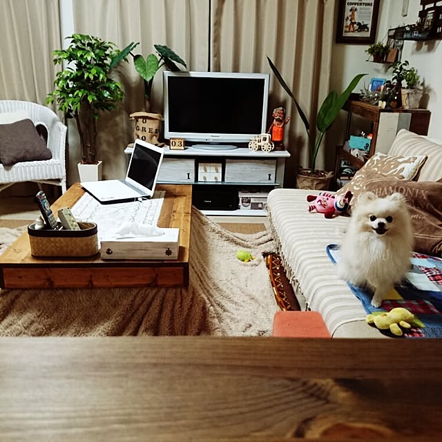 yukaさんの実例写真