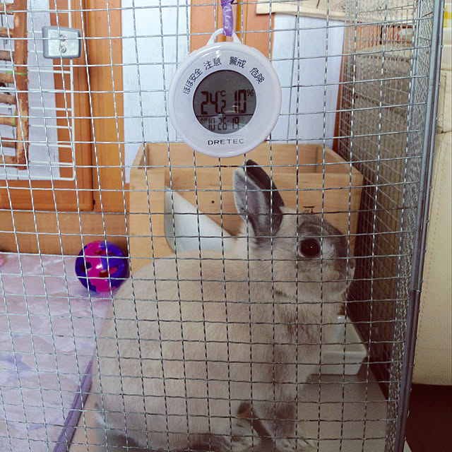 yokomokoさんの実例写真