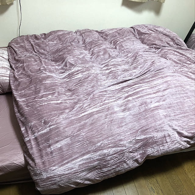 nodochinのニトリ-枕カバー(ベルベRO) の家具・インテリア写真
