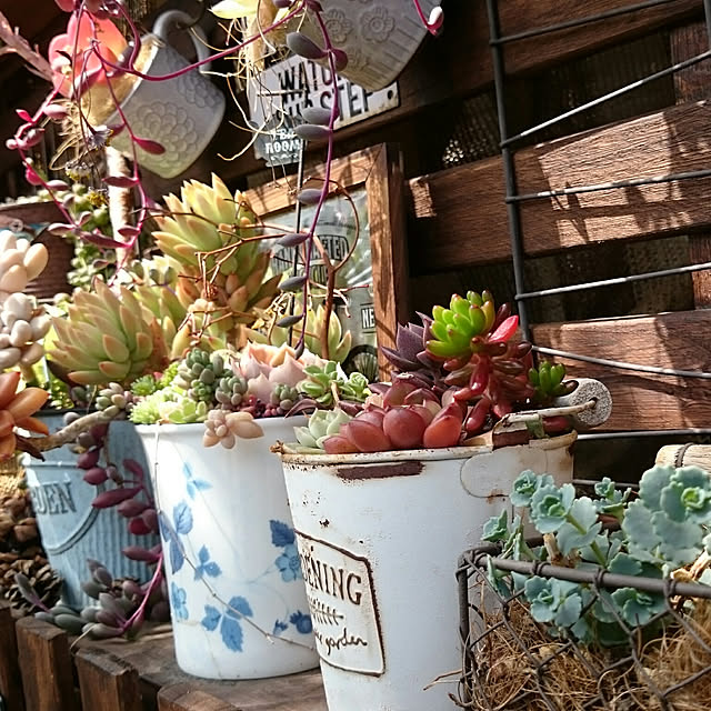 soraさんの実例写真