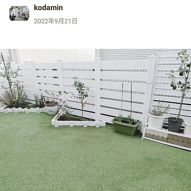 kodaminさんの部屋