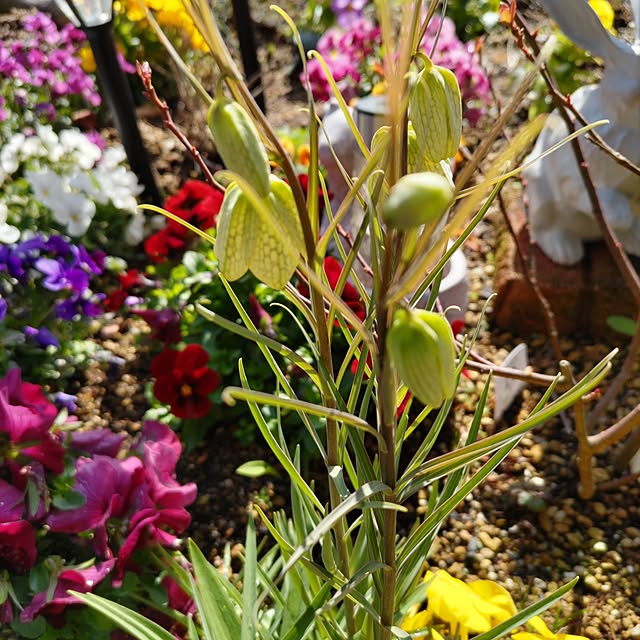 salacocoさんの部屋