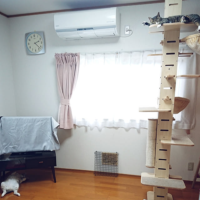 nachiさんの実例写真