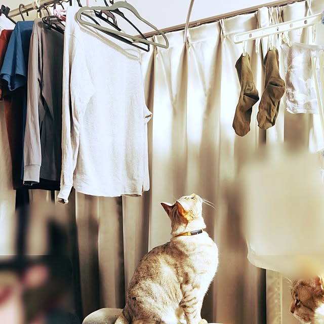 maryさんの部屋