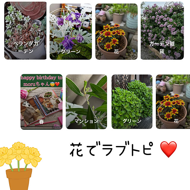 CoCo0617さんの実例写真