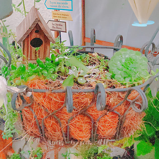 Hanakaさんの部屋