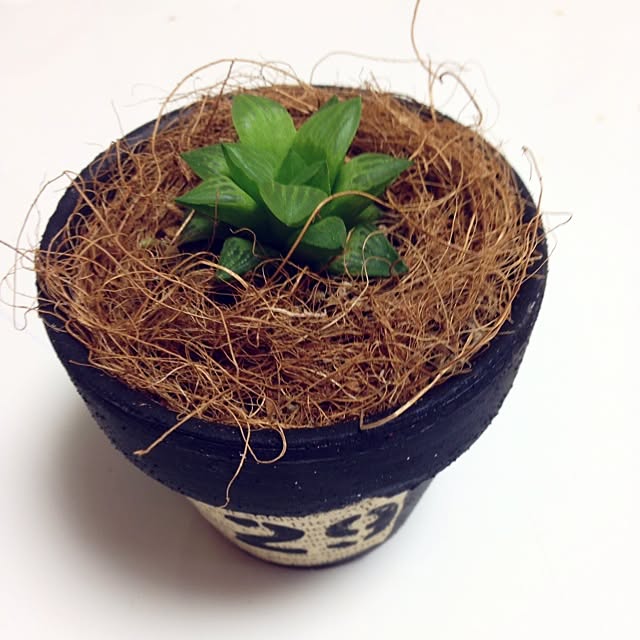 akaneneさんの実例写真