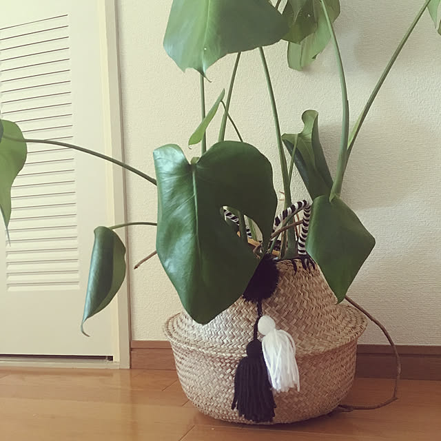 koedaさんの実例写真