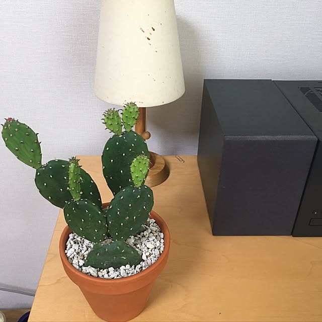 tetsuyainkさんの実例写真