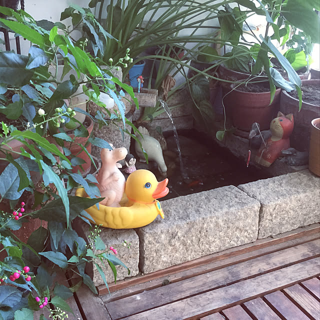 実例写真