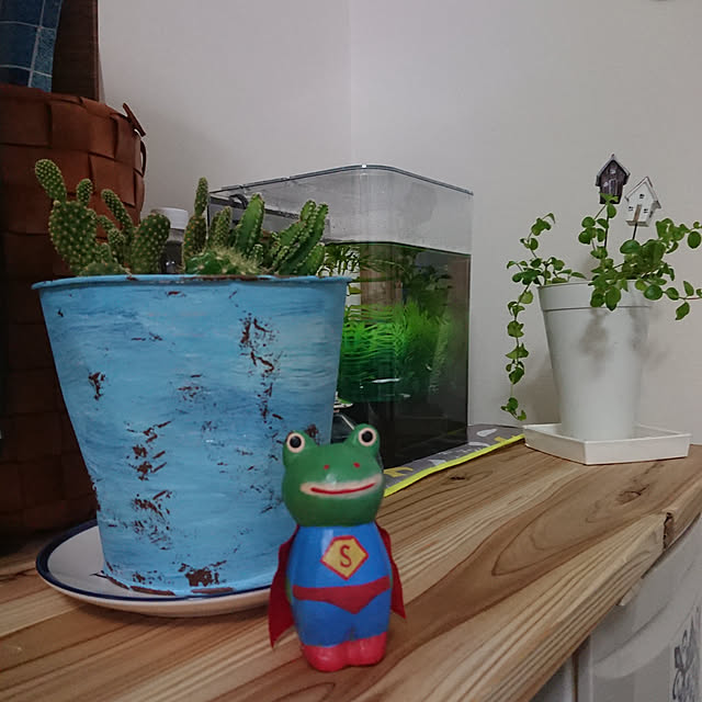 akiさんの実例写真