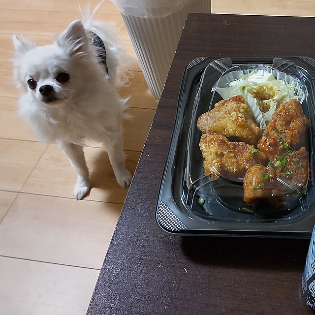 机/僕も食べたい/中古の机（ボロボロ）のインテリア実例 - 2022-05-31 21:40:34