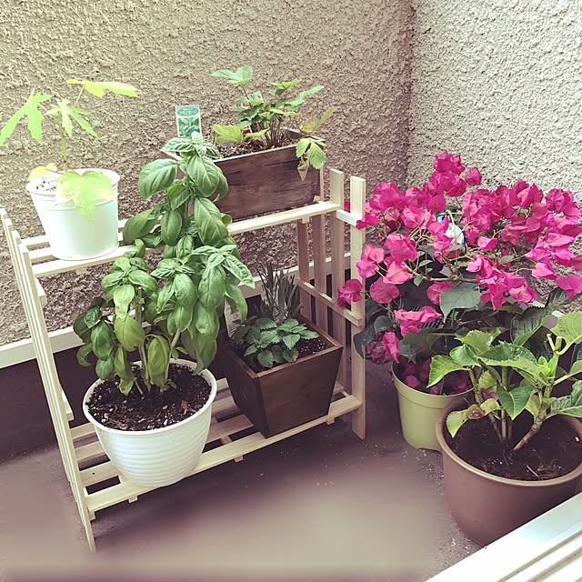 twatchhomeさんの実例写真