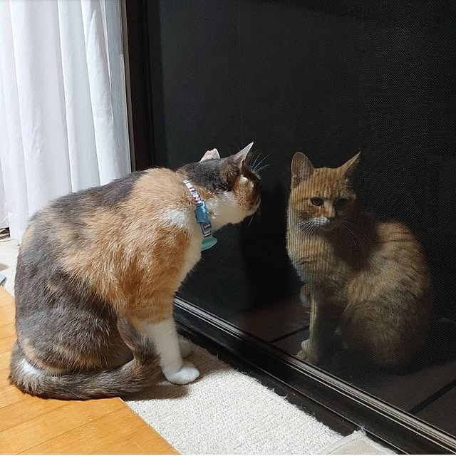 fukuさんの実例写真