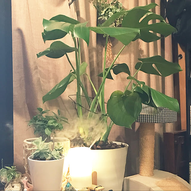 kou-kitiさんの実例写真