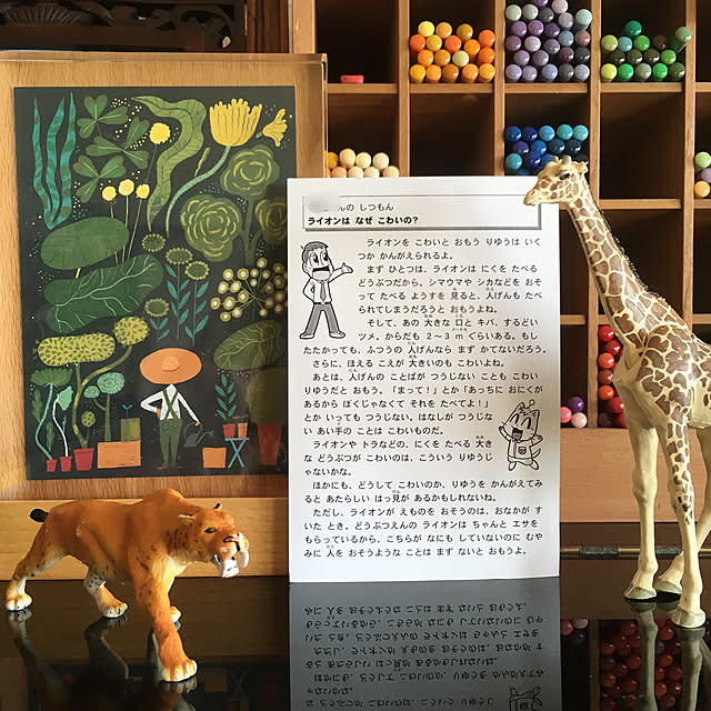 cottoncottonさんの実例写真