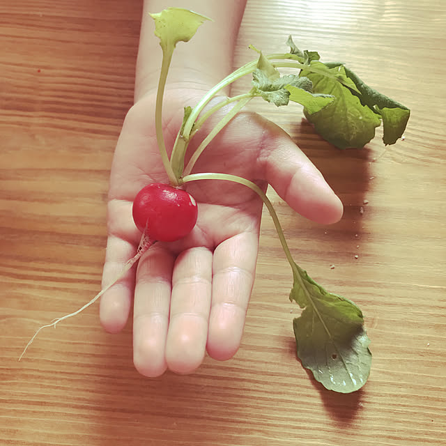 elさんの実例写真