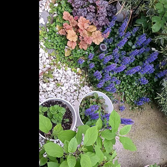aiさんの部屋