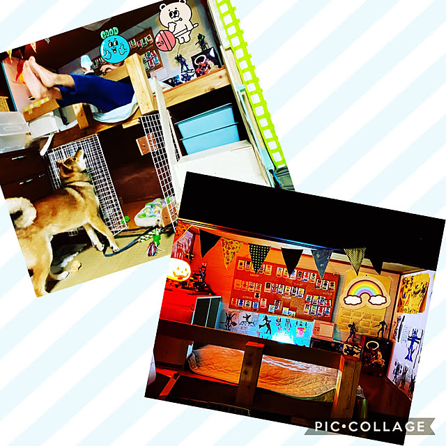 melomelodyさんの実例写真