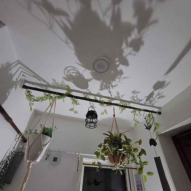 8393さんの部屋
