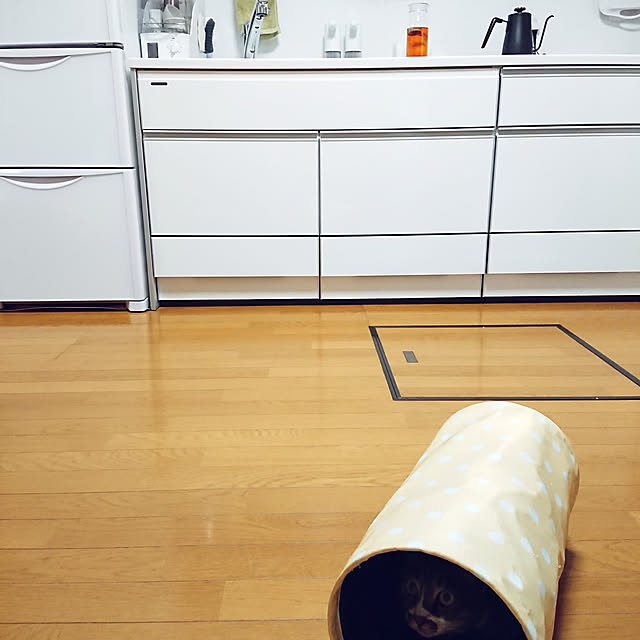 nachiさんの実例写真