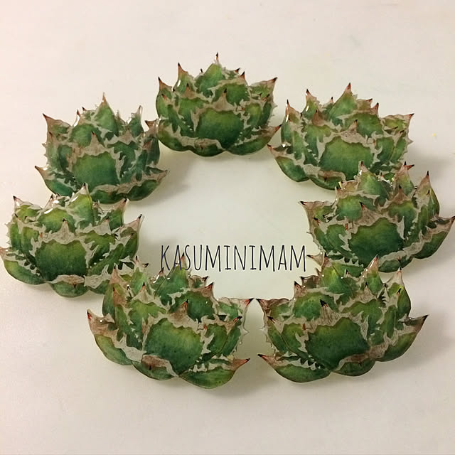 kasuminimamさんの実例写真