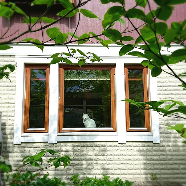 mimiさんの実例写真