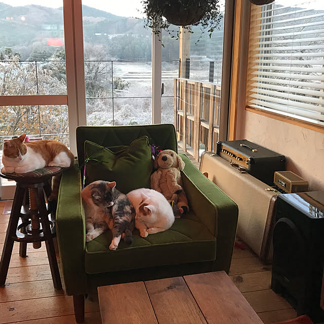 sakurasakuさんの実例写真