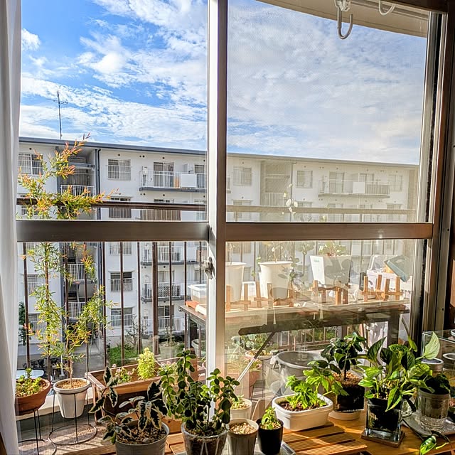 mi-saさんの実例写真