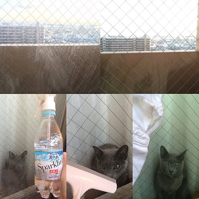 roshi3さんの実例写真
