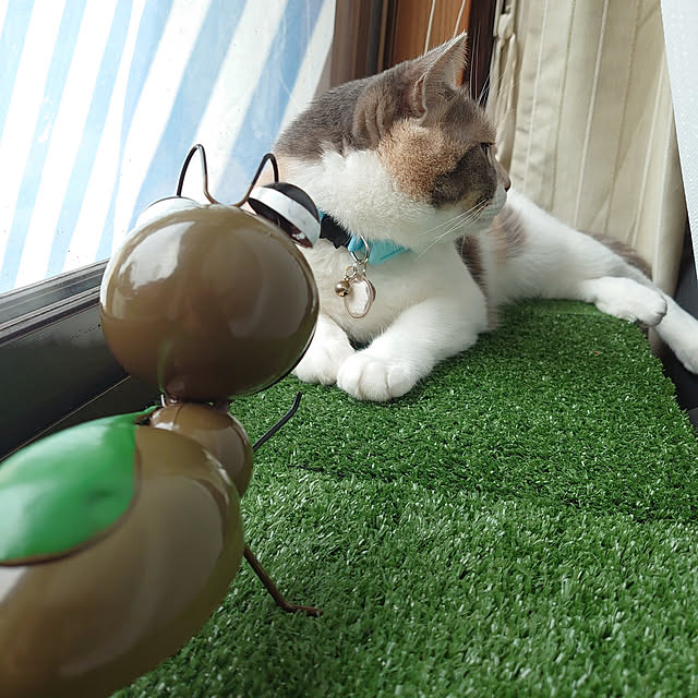 fukuさんの実例写真