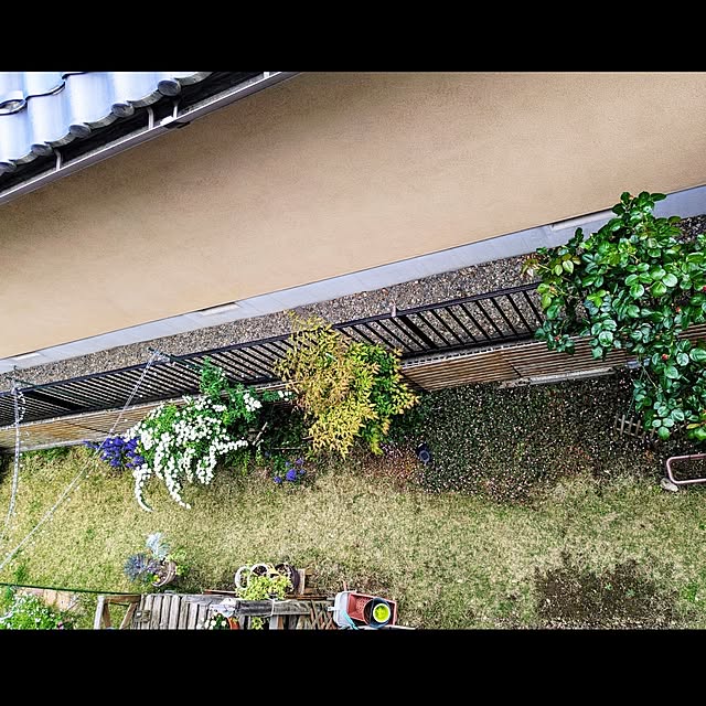 mofukoさんの部屋