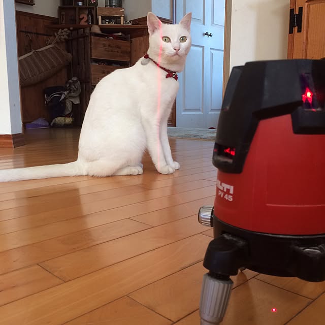 klaroomさんの実例写真