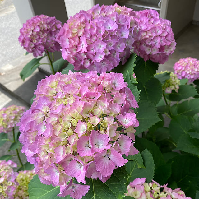 mamiさんの部屋