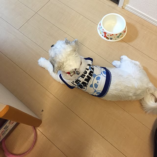 emiさんの実例写真