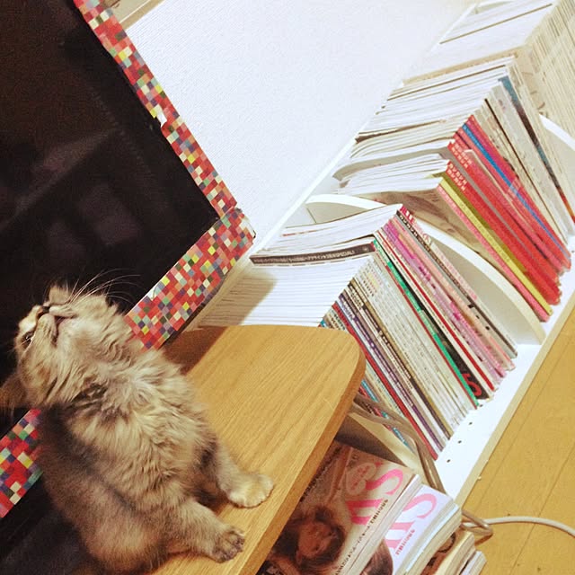 Aiさんの実例写真