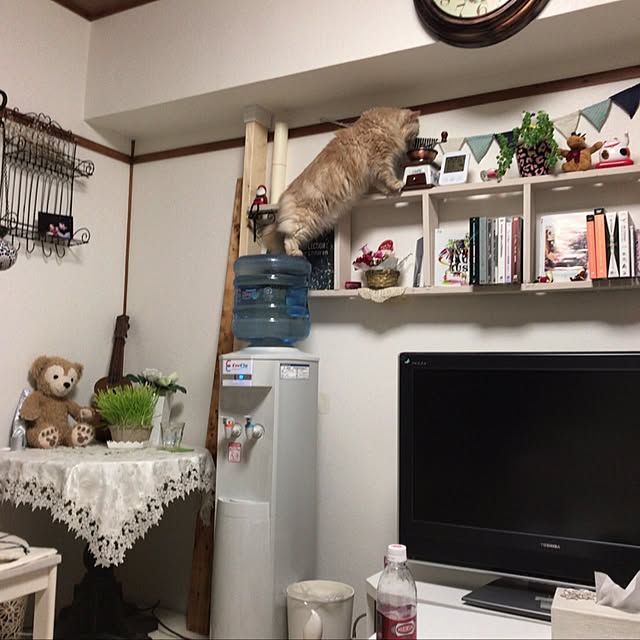 roseさんの実例写真
