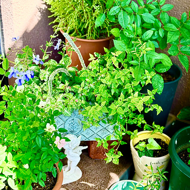 naokoさんの部屋