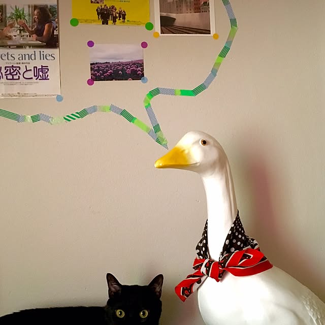 hilaさんの実例写真