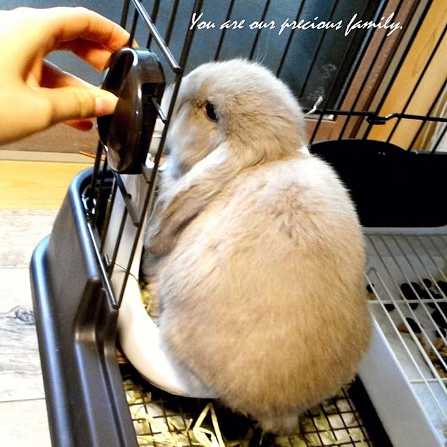 wa-ga-yaさんの実例写真