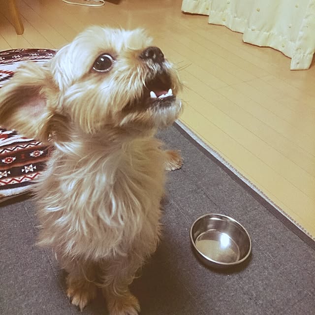 soraさんの実例写真