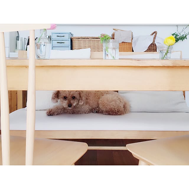azuさんの実例写真