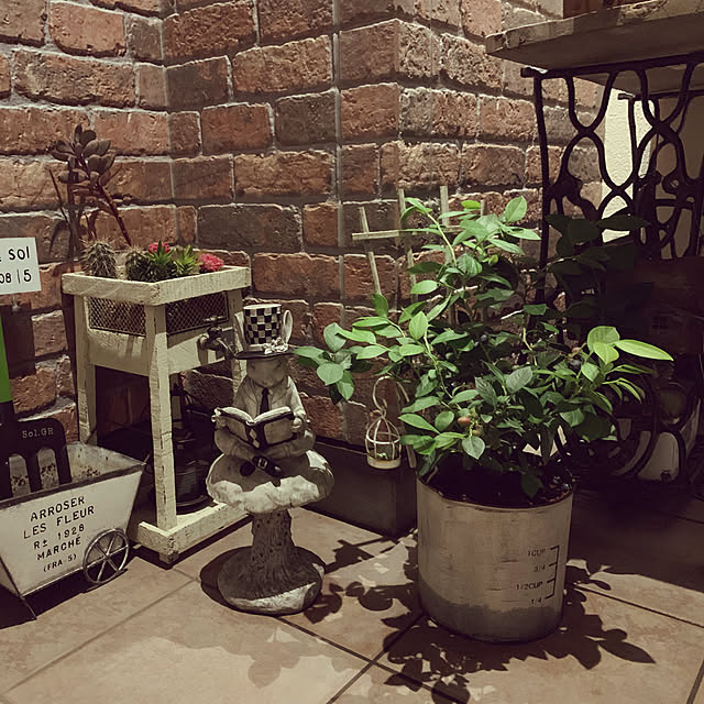 chihoさんの実例写真