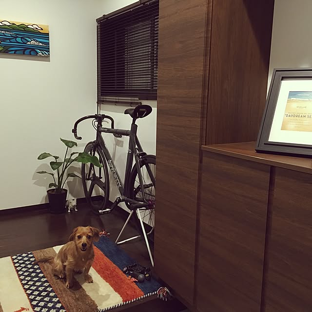 Sayakaさんの実例写真